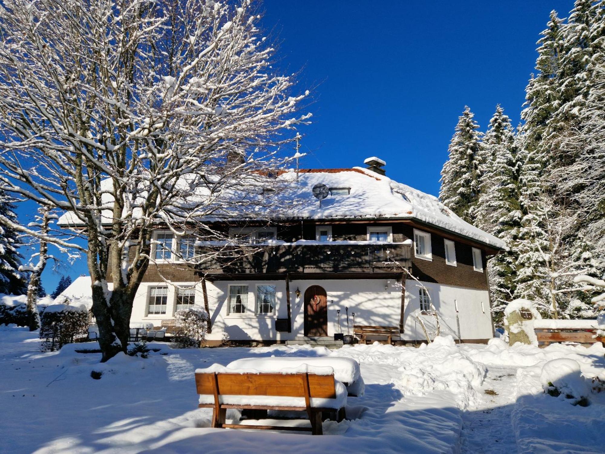 Altes Zollhuesli Villa Schluchsee Ngoại thất bức ảnh